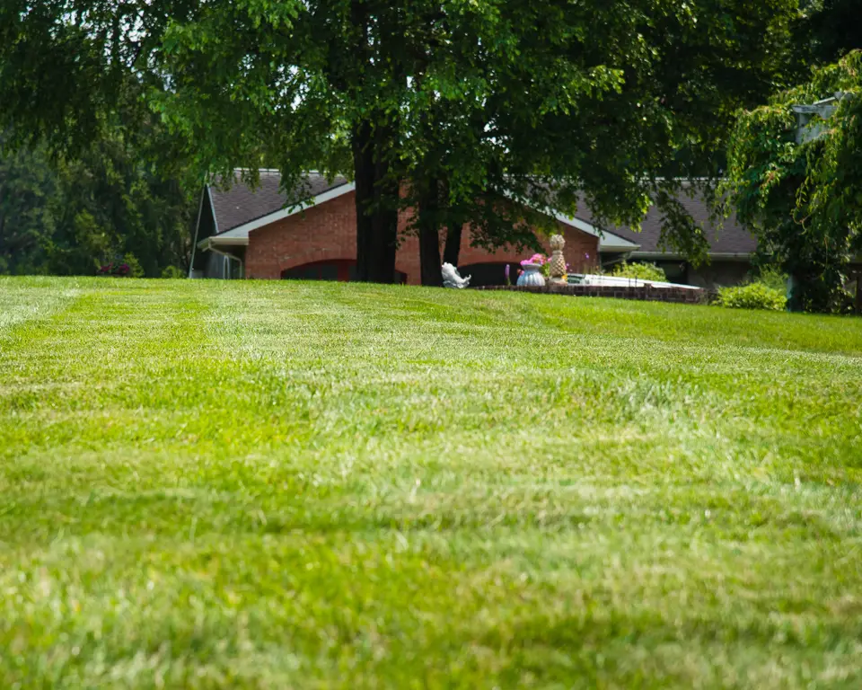 Well-kept green lawn in front of a home